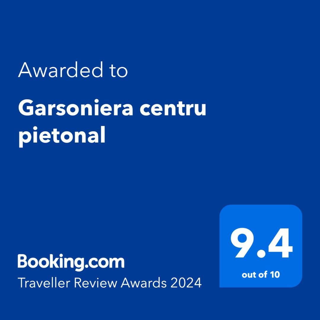 Garsoniera Centru Pietonal * Targu Jiu